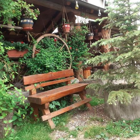 Casa In Bucovina Apartment Gura Humorului Luaran gambar