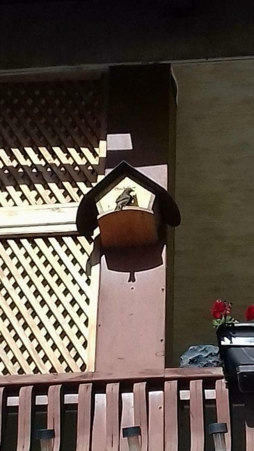 Casa In Bucovina Apartment Gura Humorului Luaran gambar